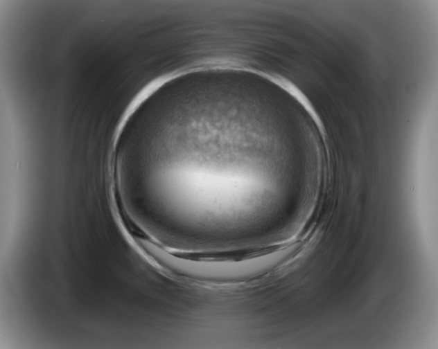 X0000083971389200703091753