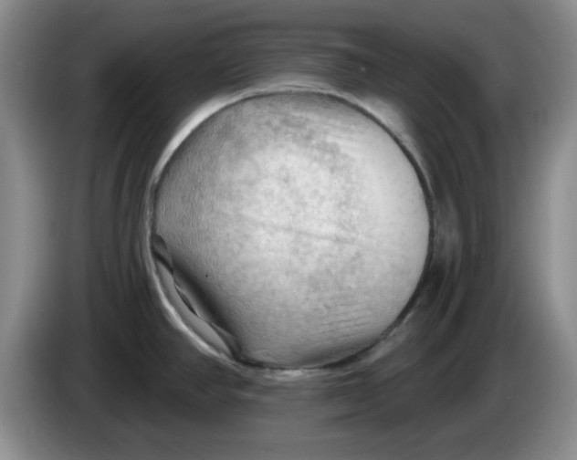 X0000083971390200703091753