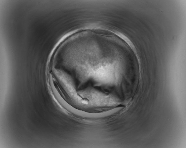 X0000083971392200703091753
