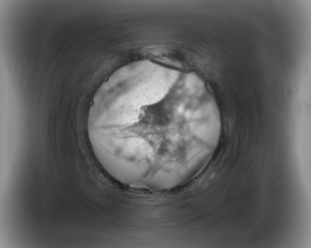 X0000083971393200703091752