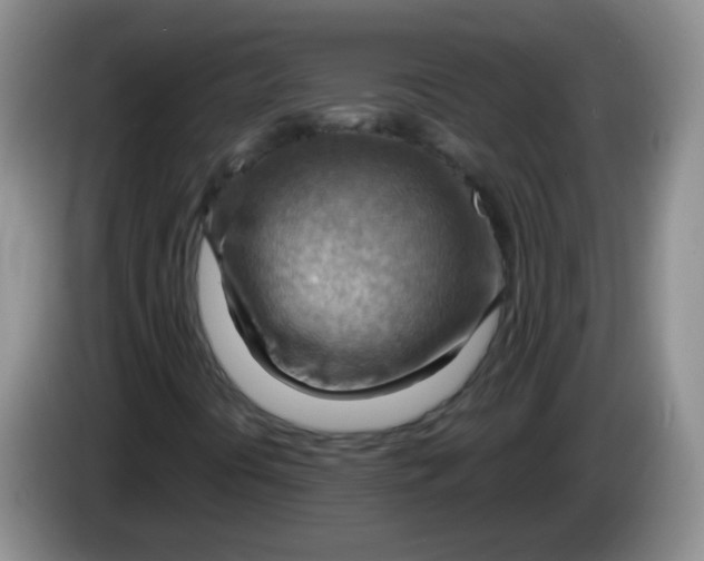 X0000083971394200703091752