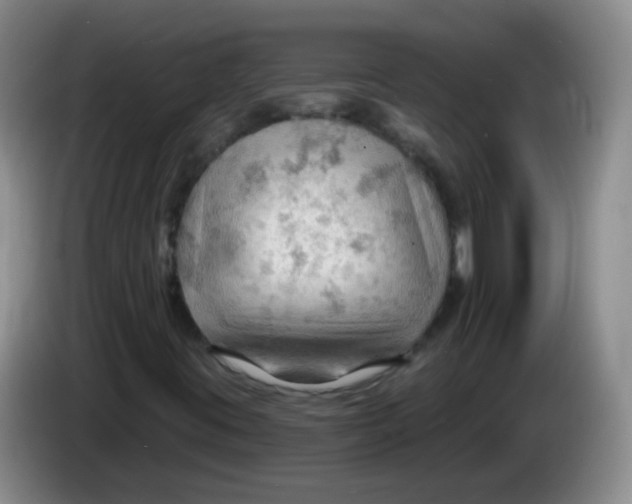 X0000083971395200703091752