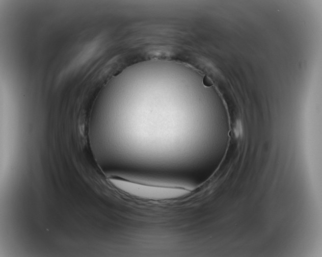 X0000083971396200703091752