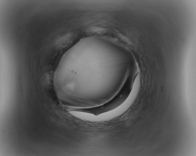 X0000083971397200703091752