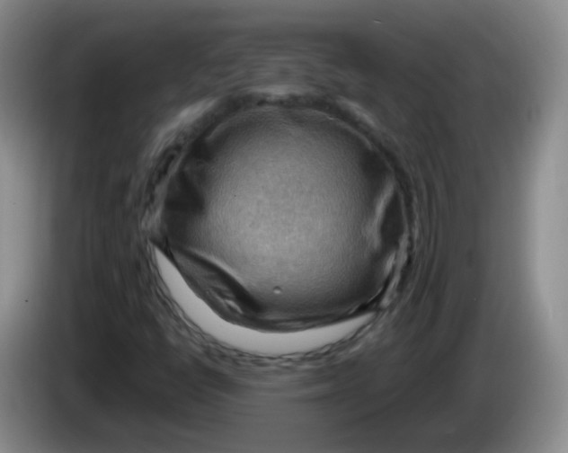 X0000083971398200703091752