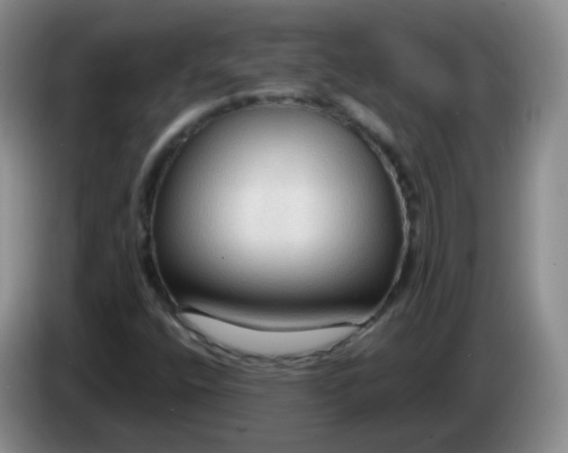 X0000083971400200703091752