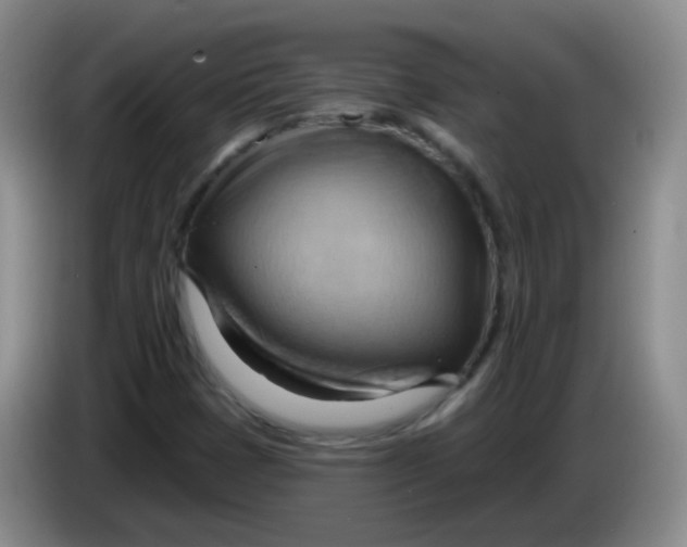 X0000083971401200703091752