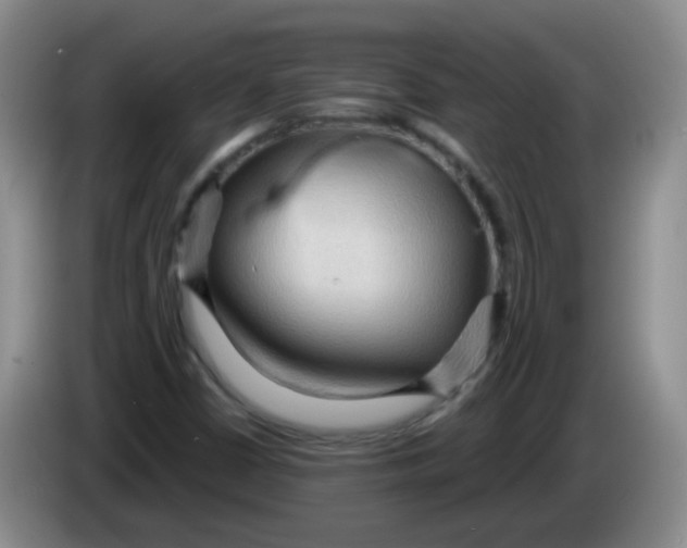 X0000083971402200703091752