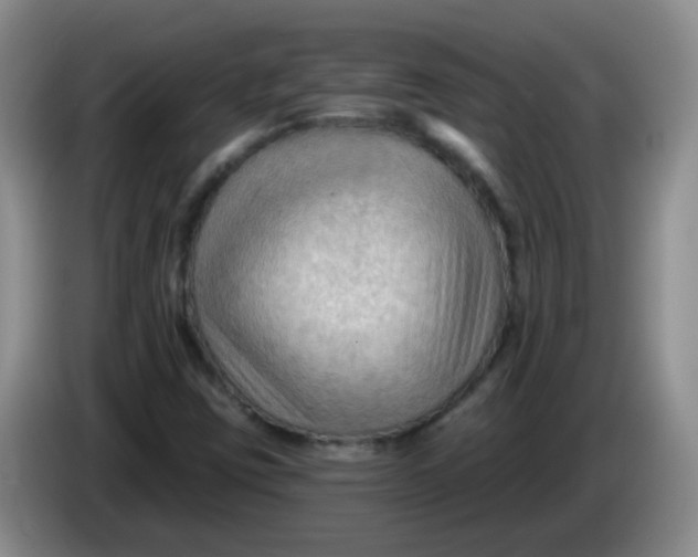 X0000083971403200703091752