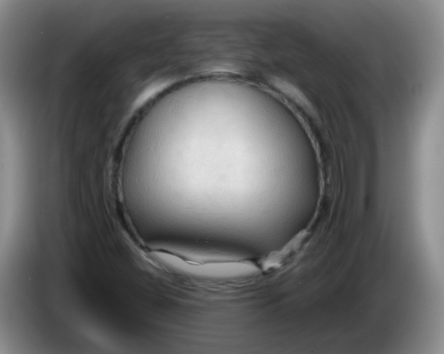 X0000083971404200703091752