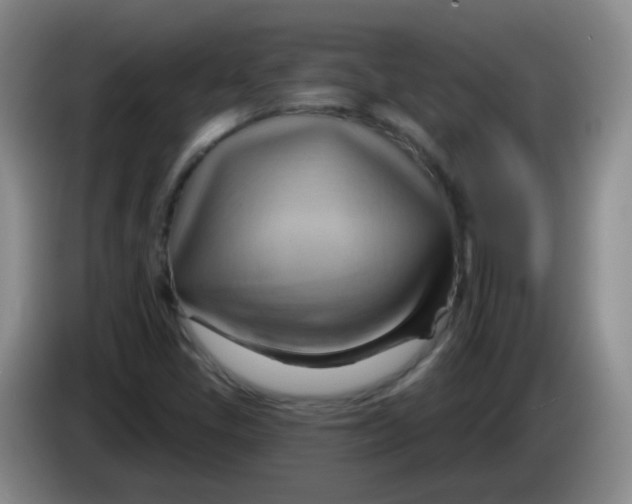 X0000083971405200703091752