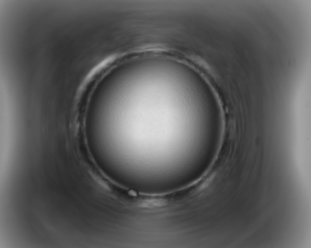 X0000083971406200703091752