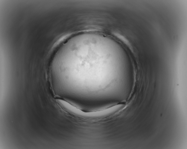 X0000083971407200703091752
