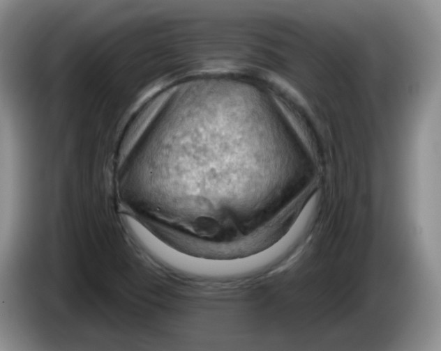 X0000083971409200703091752