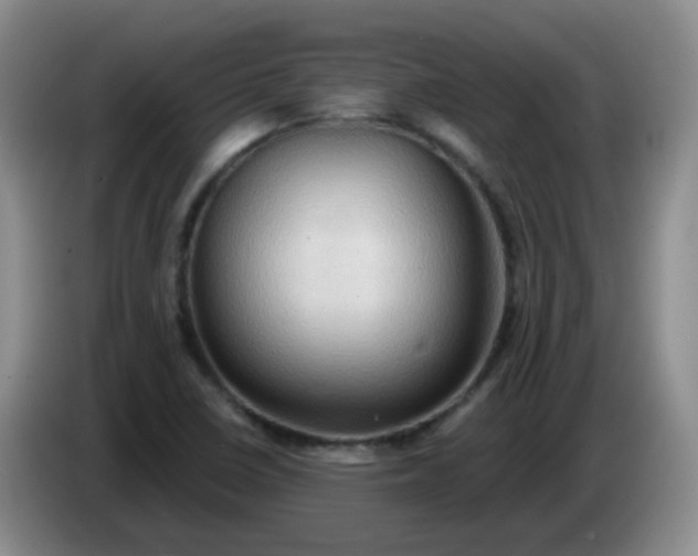 X0000083971410200703091752