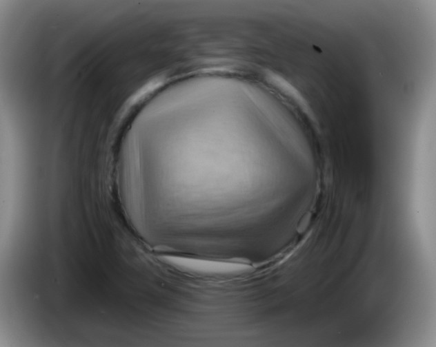 X0000083971411200703091752