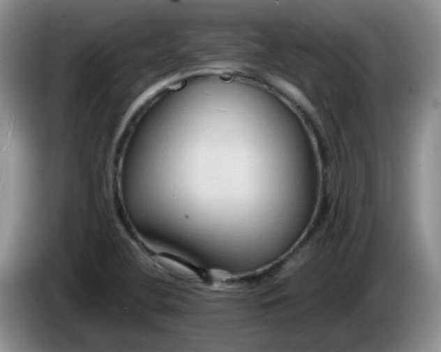 X0000083971412200703091752