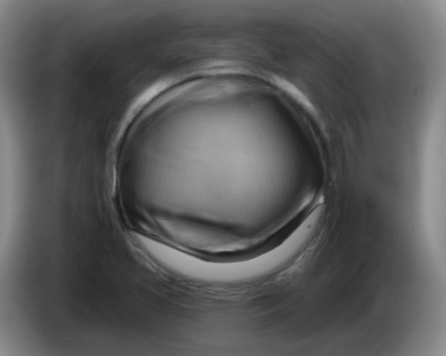 X0000083971413200703091752