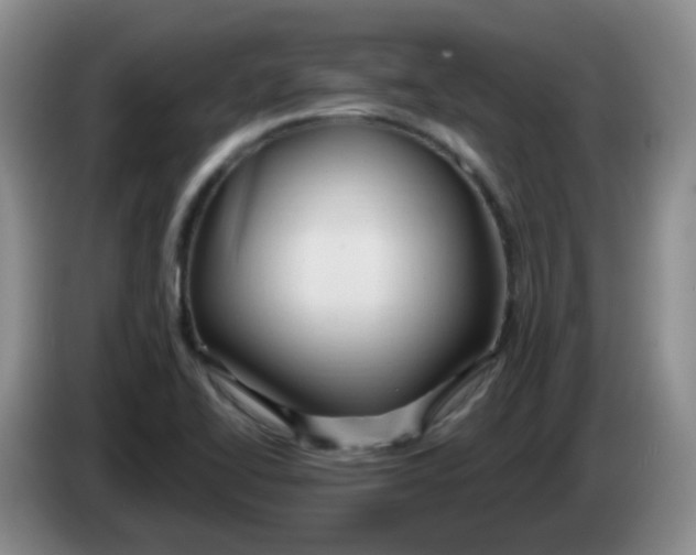 X0000083971414200703091752
