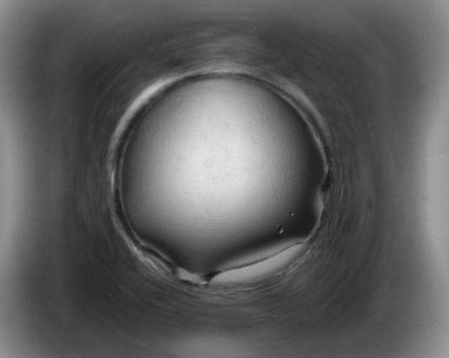 X0000083971416200703091752