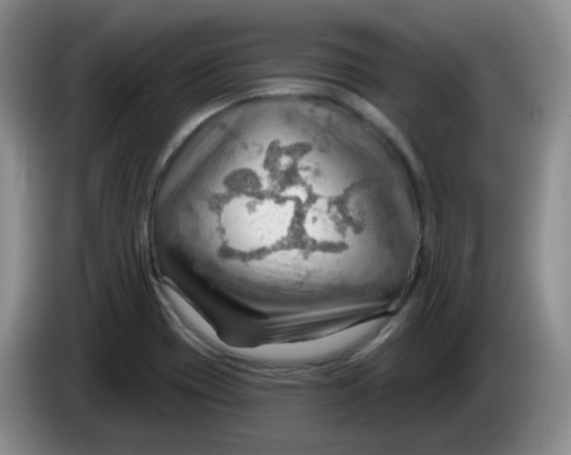 X0000083971417200703091752