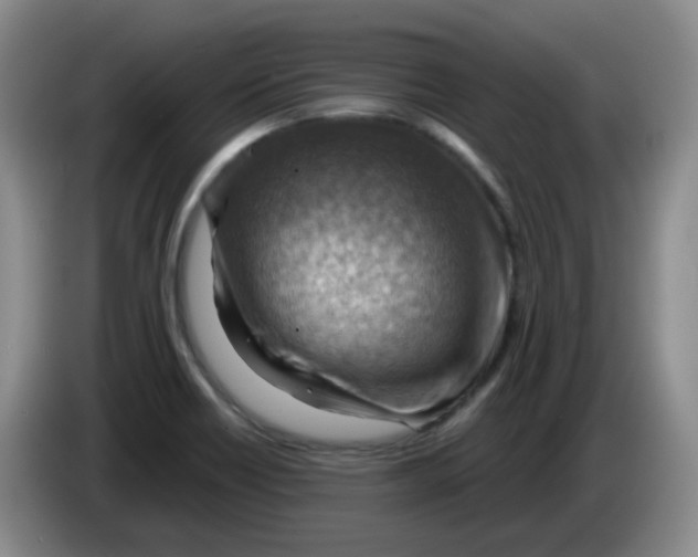 X0000083971418200703091752