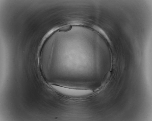 X0000083971419200703091752