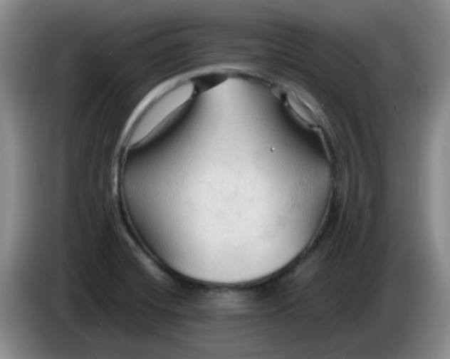 X0000083971420200703091752