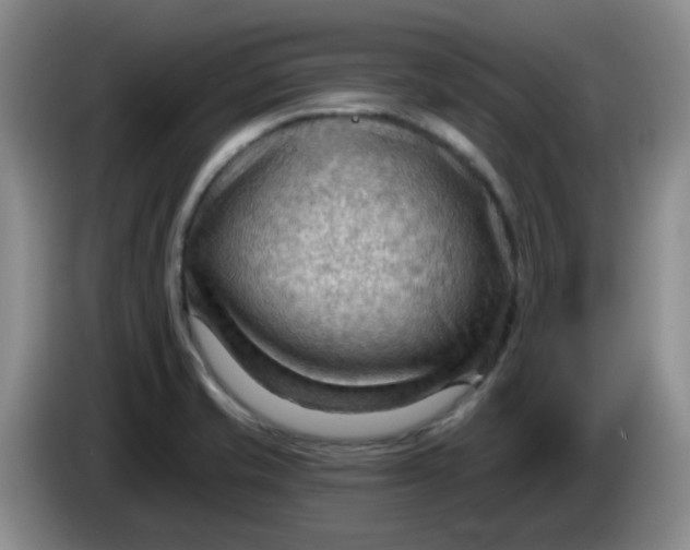 X0000083971421200703091752