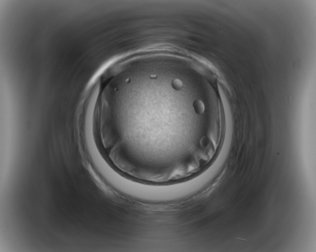 X0000083971422200703091752