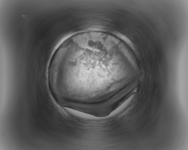 X0000083971423200703091752