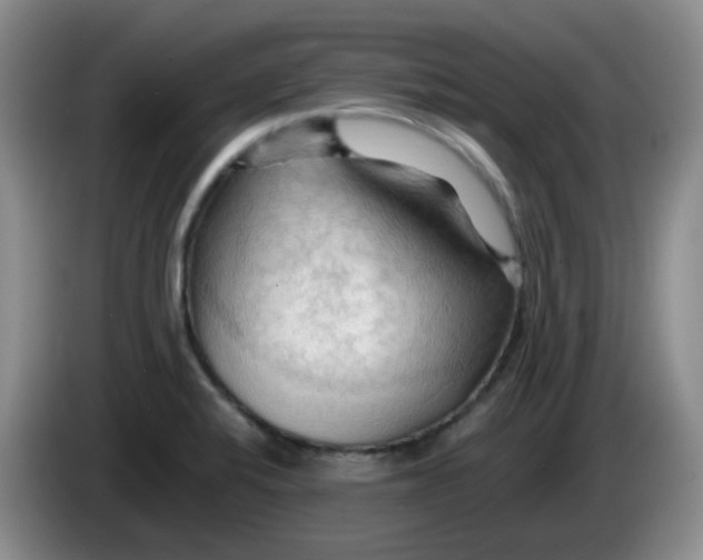 X0000083971424200703091753