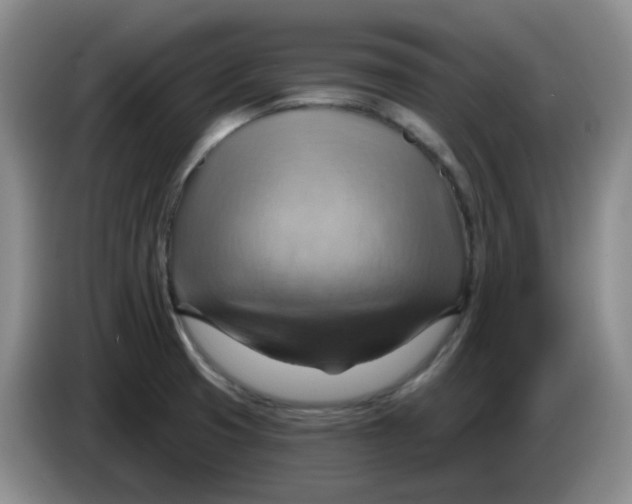 X0000083971425200703091753
