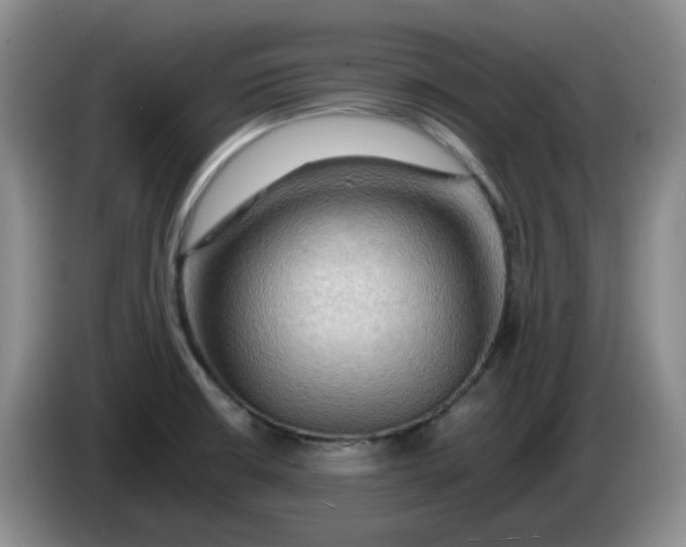 X0000083971426200703091753