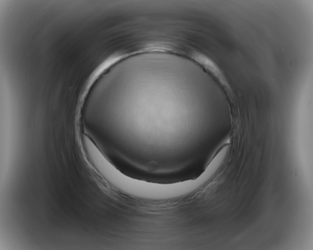 X0000083971427200703091753