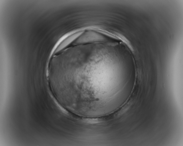 X0000083971428200703091753