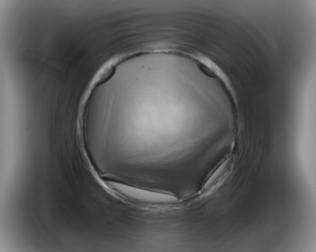 X0000083971429200703091753