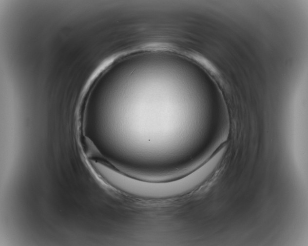 X0000083971430200703091753