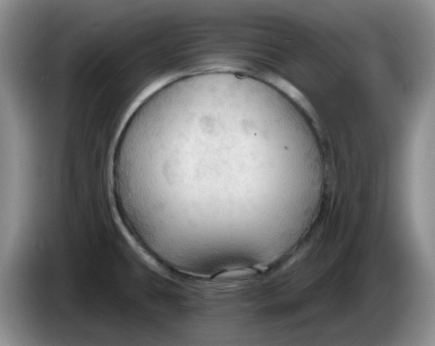 X0000083971431200703091753