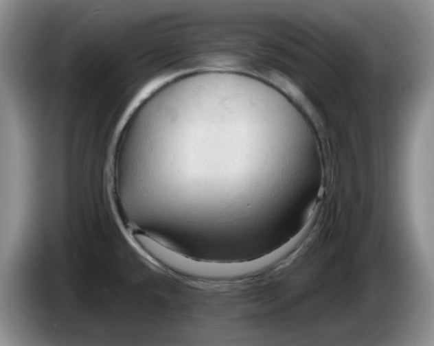 X0000083971432200703091753