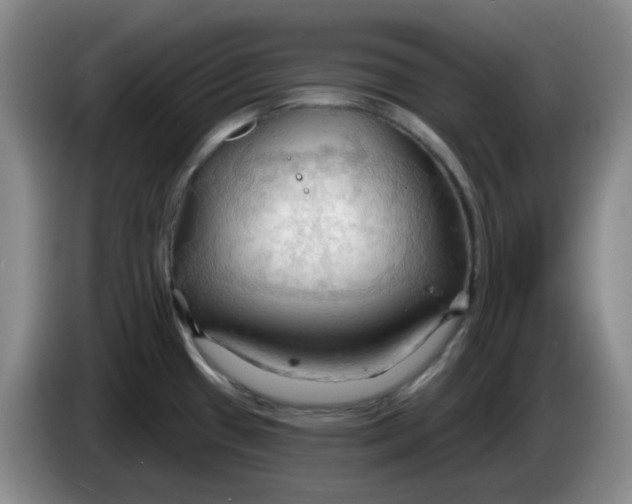 X0000083971433200703091753