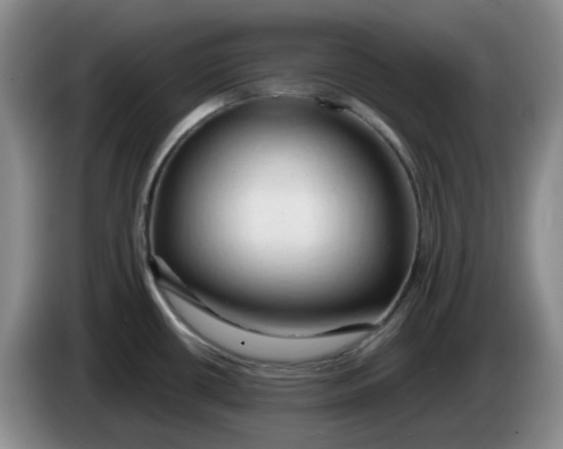 X0000083971434200703091753