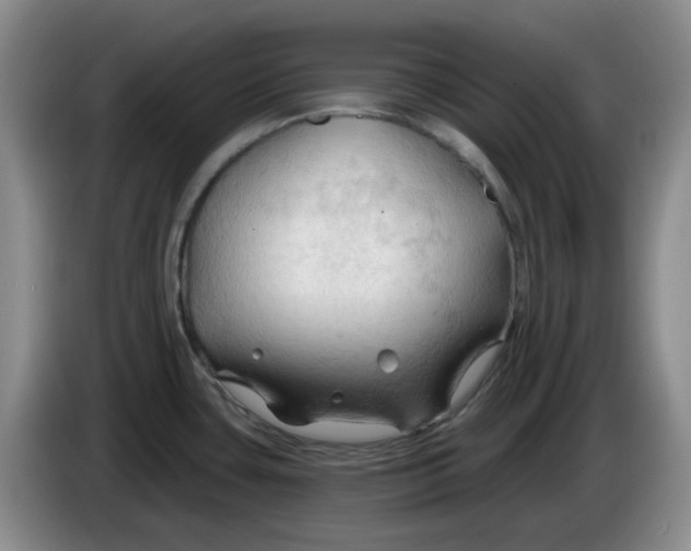 X0000083971435200703091753