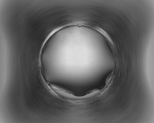 X0000083971436200703091753