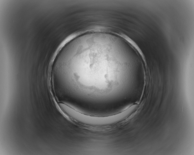 X0000083971437200703091753