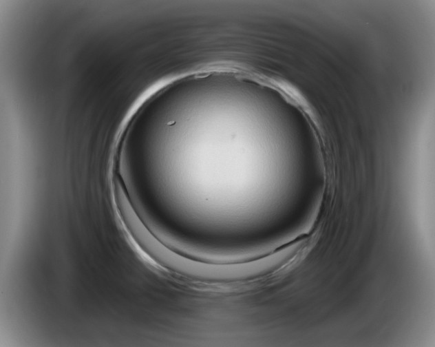 X0000083971438200703091753
