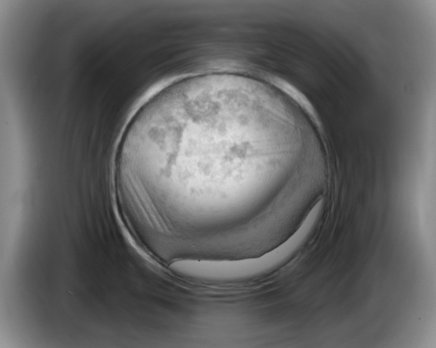X0000083971439200703091753