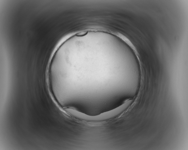 X0000083971440200703091753