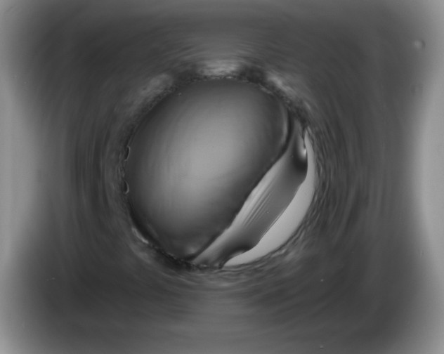 X0000083971441200703091752