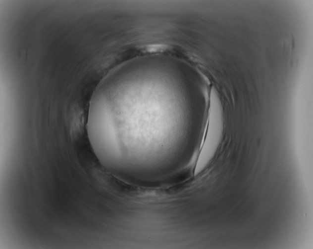 X0000083971443200703091752